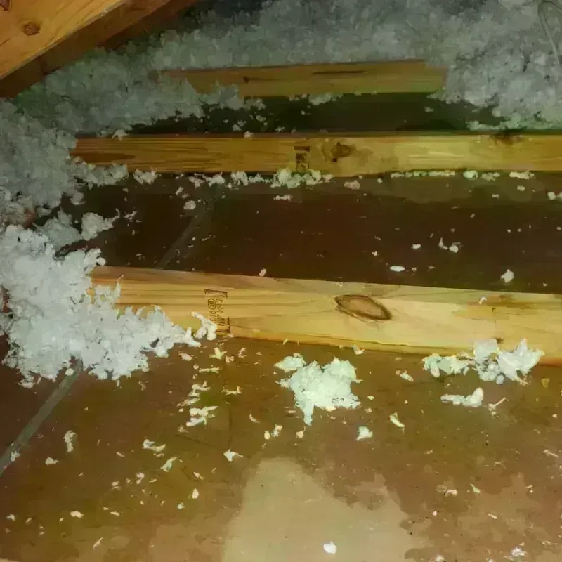 Attic Water Damage in Blanchard, LA